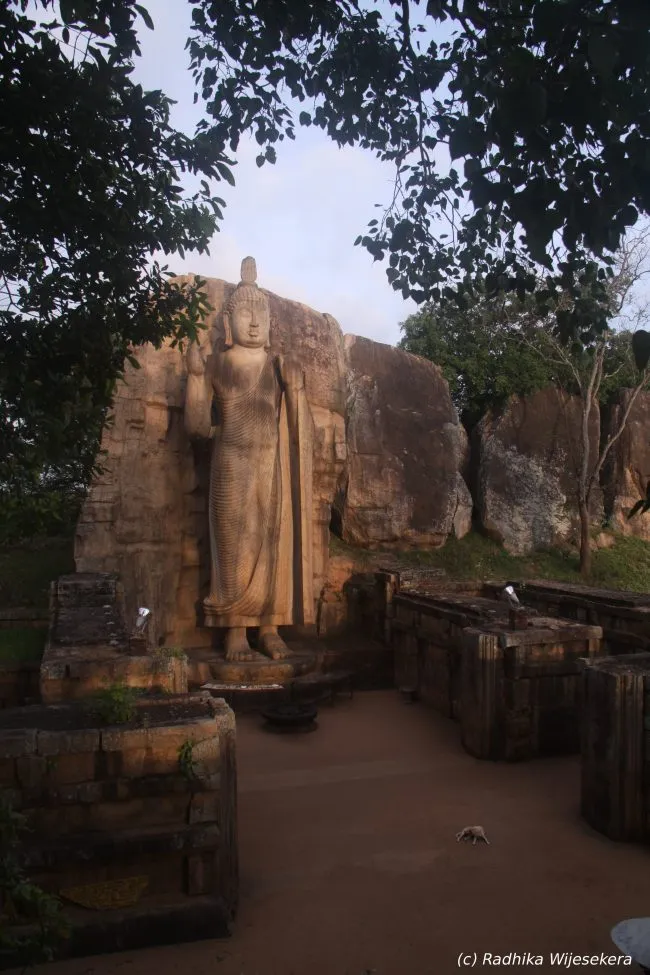 Avukana-Buddha-Statue-1