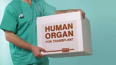 Organ