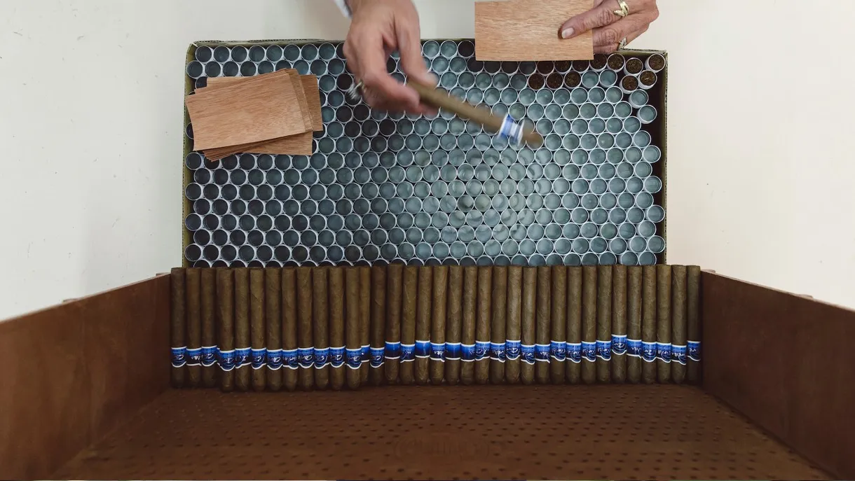 image_1492277722-a1240d8c5b