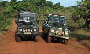 image_1508843100-83d1747ee4