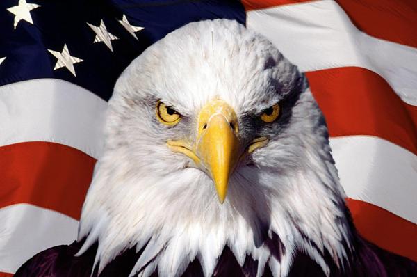 eagle-flag-usa