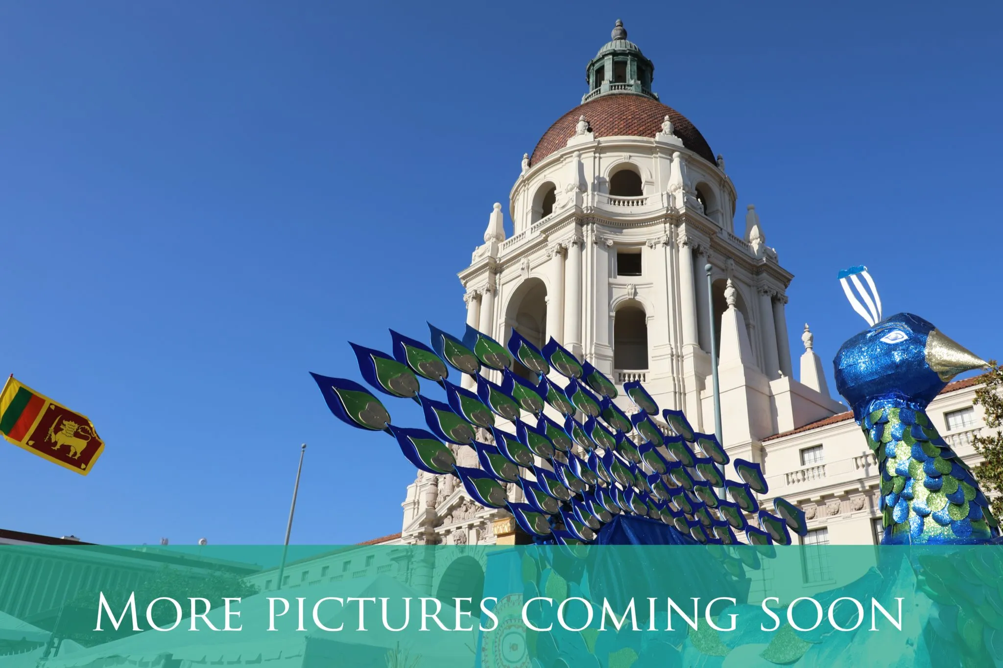 501A0439 copy-squashed