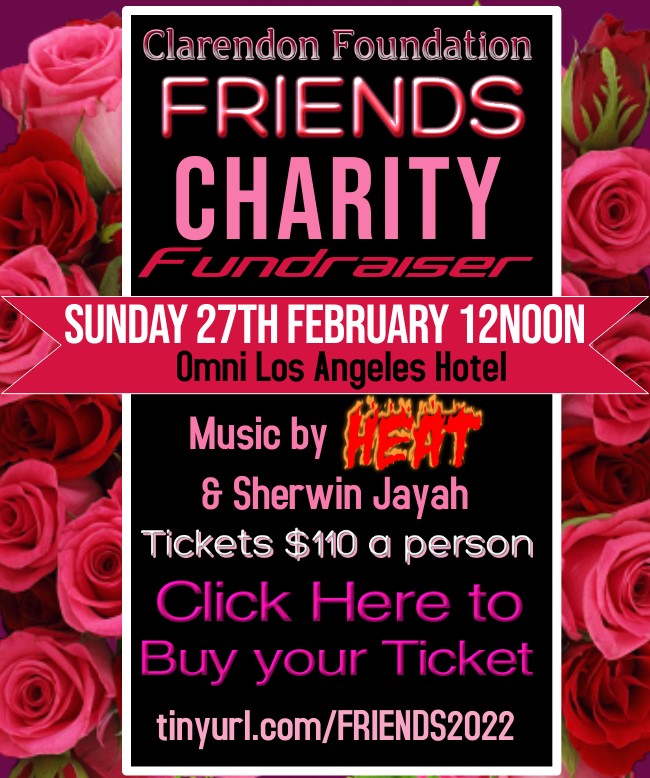 FRIENDS CHARITY FUNDRAISER